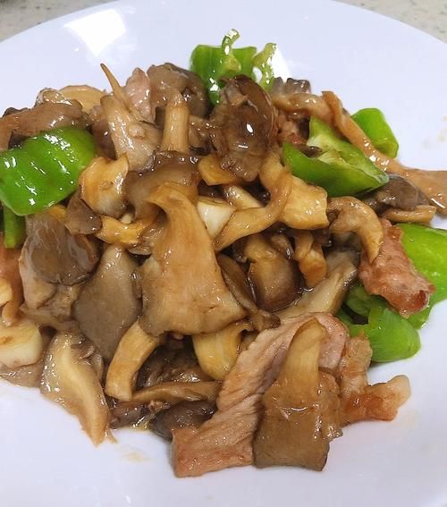 肉炒蘑菇怎么炒好吃_家常肉炒蘑菇的做法步骤