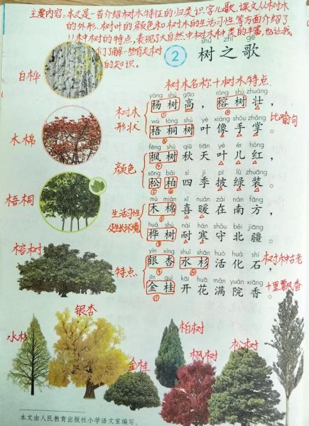 银白样子写词语有哪些_银白样子怎么造句