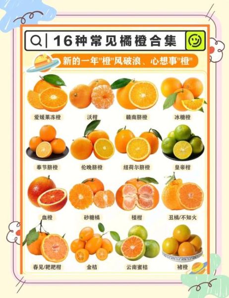 橙子吃多了会上火吗_橙子一天吃几个最好