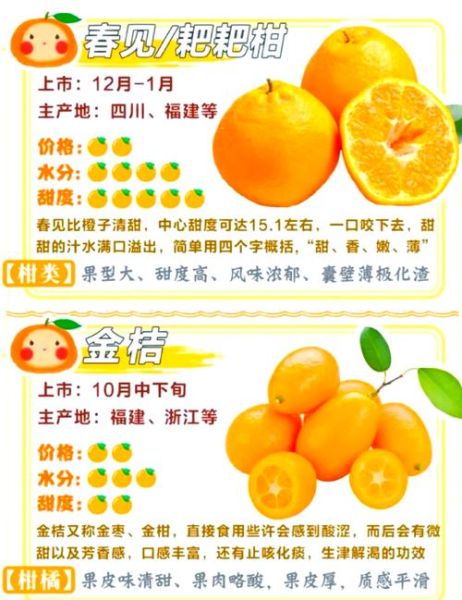 柑子怎么挑选_柑子有哪些品种