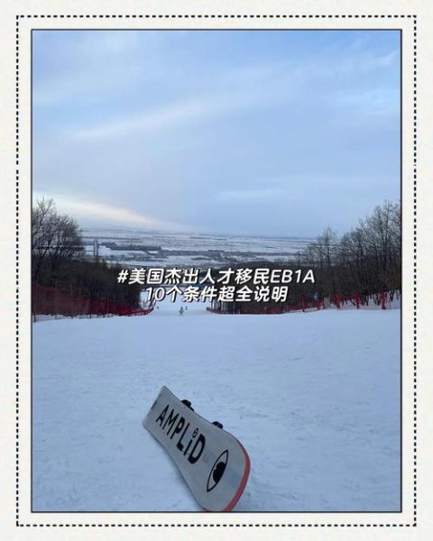 美国杰出人才移民条件_如何证明国际声誉