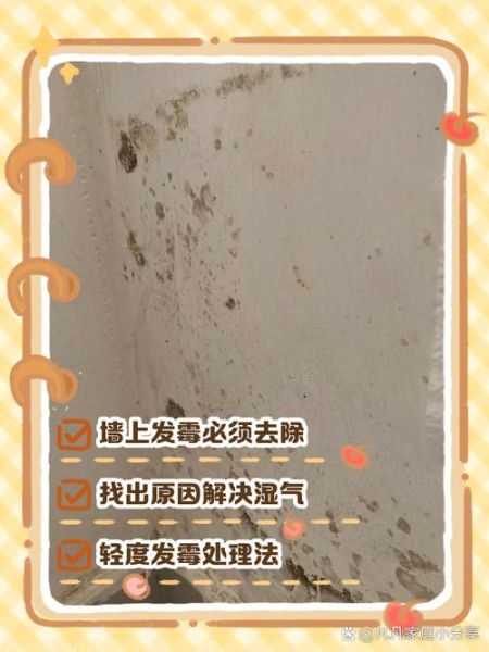 墙壁发霉怎么处理_墙壁发霉对人体有害吗