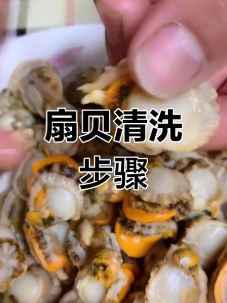 扇贝怎么清洗_扇贝蒸多久才熟