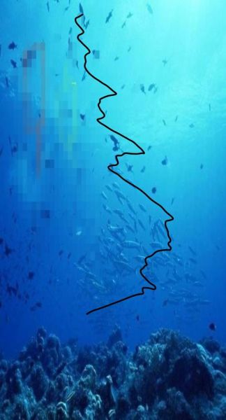 海面上为什么会有波浪_波浪是怎么形成的