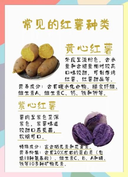 红薯的营养价值有哪些_红薯怎么吃最健康