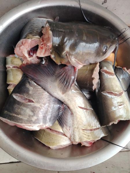 清炖鱼最简单的做法_清炖鱼怎么做好吃又简单