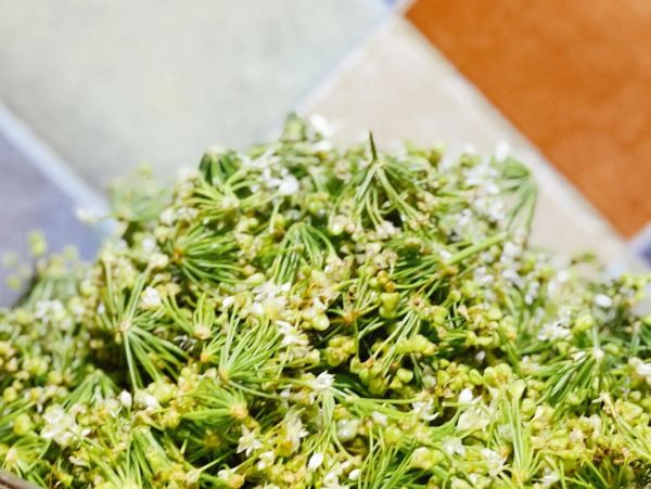 韭菜花怎么腌制_韭菜花酱的做法