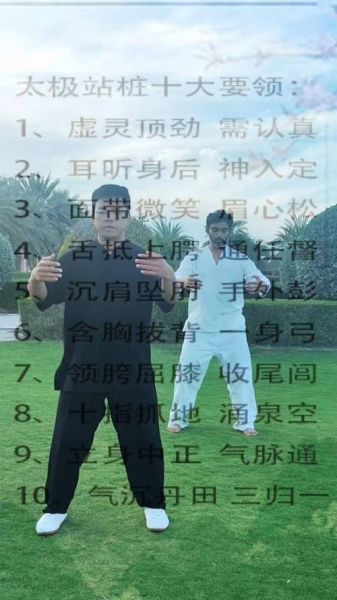 太极入门先学什么_太极站桩多久见效