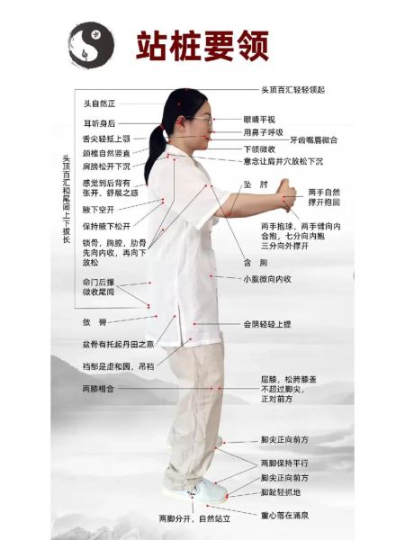 太极入门先学什么_太极站桩多久见效