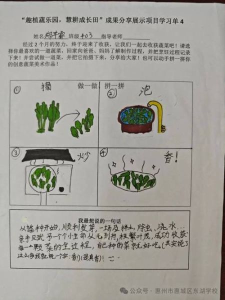 形容蔬菜的四字词语有哪些_如何巧妙运用