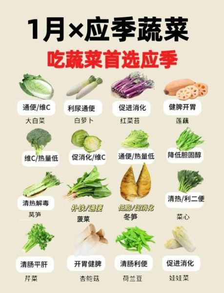 形容蔬菜的四字词语有哪些_如何巧妙运用