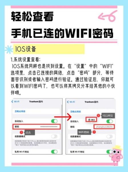 如何查看手机wifi密码_安卓苹果手机wifi密码查看方法