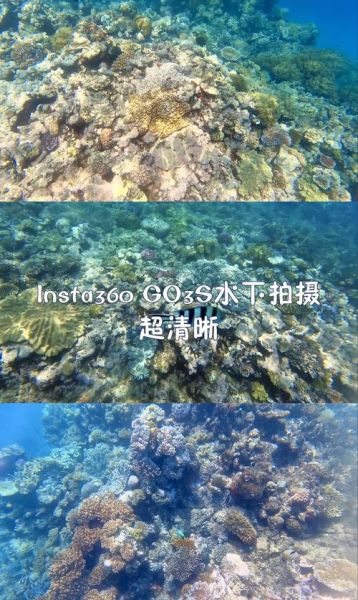 手机水下拍照技巧_水下拍照怎么拍清晰