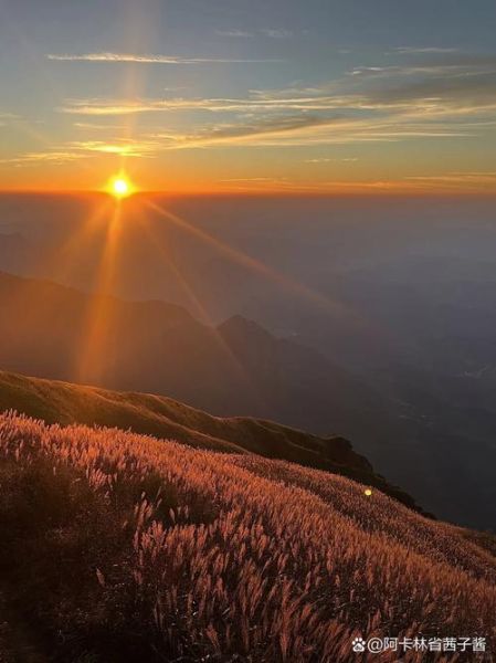 金灿灿的太阳为什么那么亮_金灿灿的太阳代表什么寓意