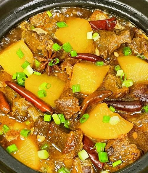 牛腩怎么炖才软烂入味_牛腩焯水用冷水还是热水