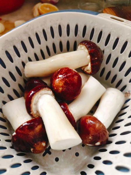 松茸煲汤最佳做法_松茸煲汤用什么锅