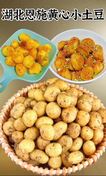 蒸土豆要蒸多久才熟_蒸土豆怎么做好吃又简单