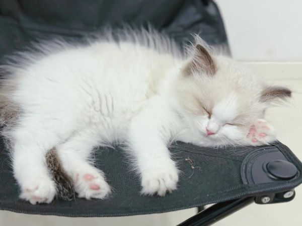 为什么总是皱眉_如何改掉皱眉习惯