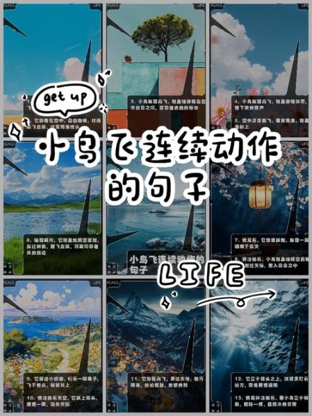 鸟儿为什么会飞_如何吸引鸟儿到阳台