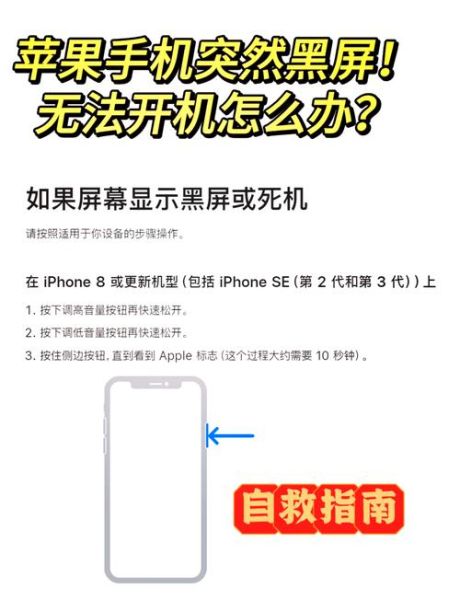 苹果手机黑屏打不开怎么办_强制重启没反应