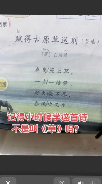 小草abb是什么_小草abb怎么读