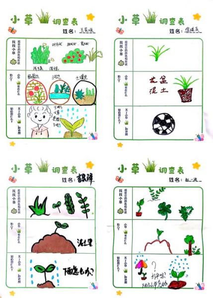 小草abb是什么_小草abb怎么读