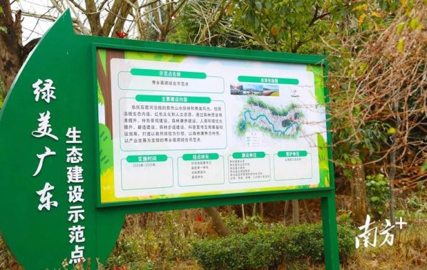 城市绿化_如何提升绿化覆盖率