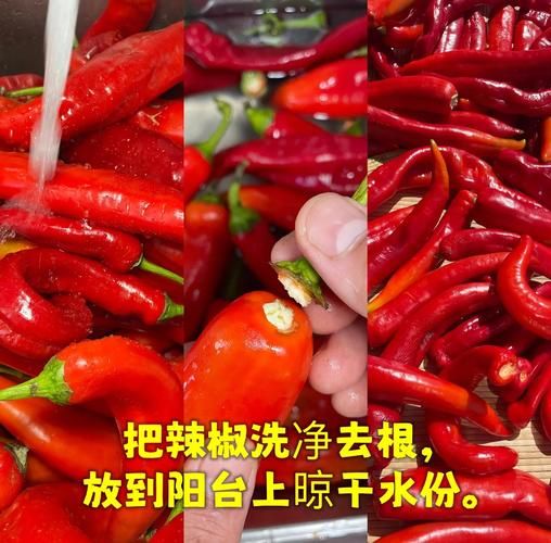 牛肉辣椒酱怎么做_牛肉辣椒酱的做法窍门