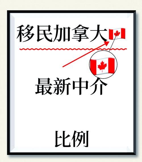 加拿大移民中介哪家好_加拿大移民流程是什么