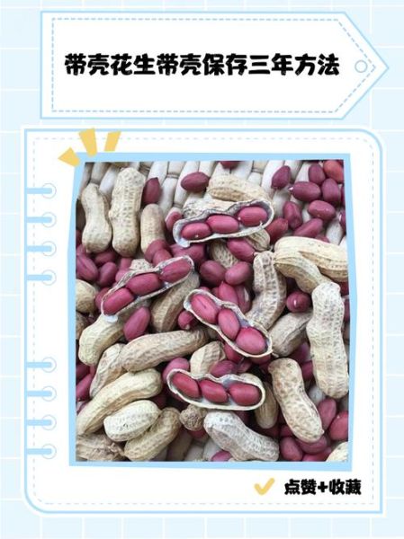 花生怎么保存时间长_花生发芽了还能吃吗