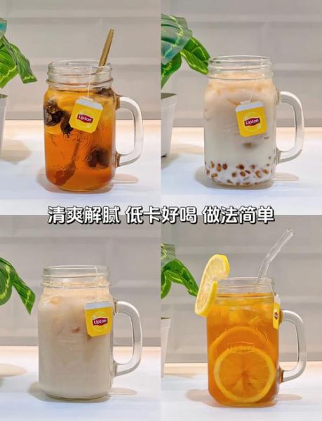 自制饮料的做法大全_健康饮品怎么做
