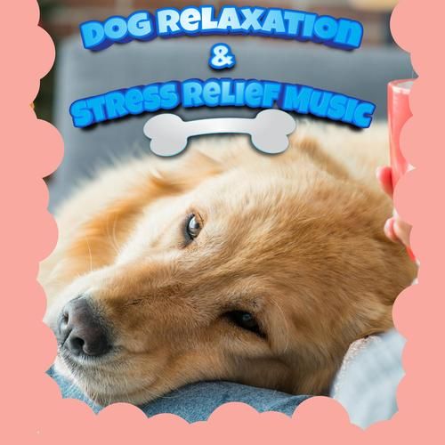 how_to_train_a_puppy_to_sit_best_dog_food_for_puppies