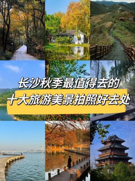 秋天去哪里旅游好_秋天有哪些特色活动