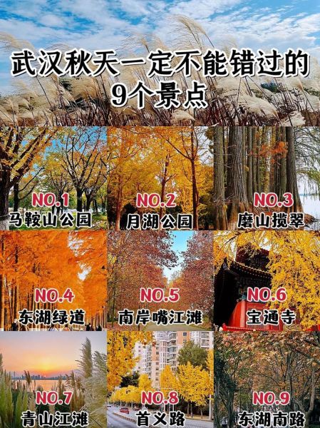 秋天去哪里旅游好_秋天有哪些特色活动