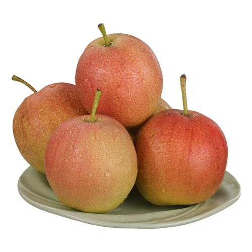 丽词语的梨子是什么_丽词语的梨子好吃吗