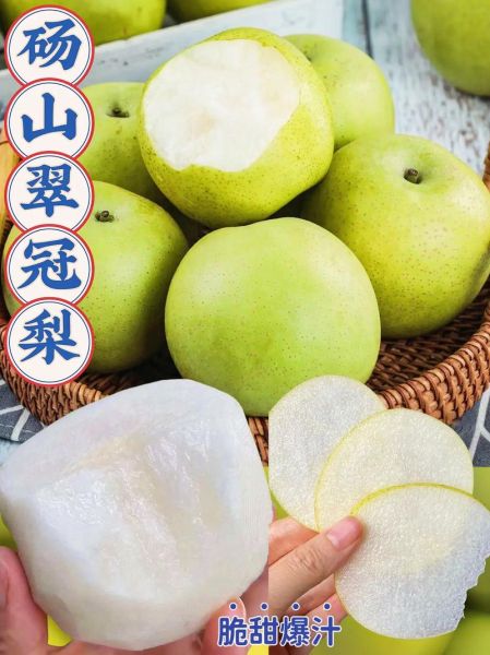 丽词语的梨子是什么_丽词语的梨子好吃吗