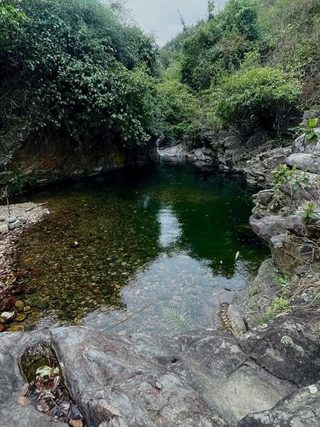 小溪有哪些类型_小溪的形成原因是什么