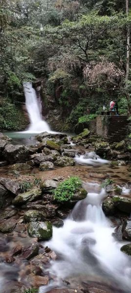 小溪有哪些类型_小溪的形成原因是什么