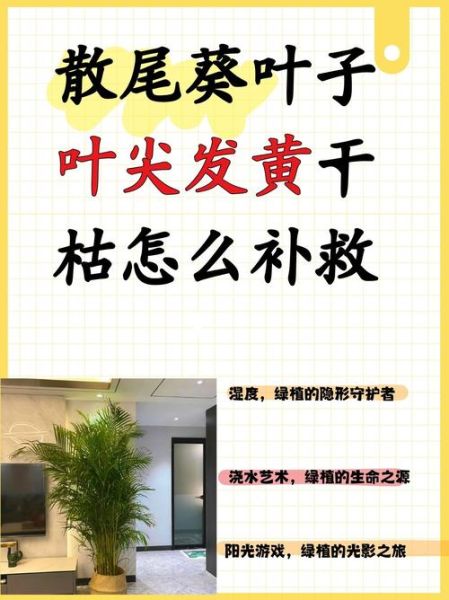 枯萎的植物怎么救活_叶子发黄枯萎是什么原因