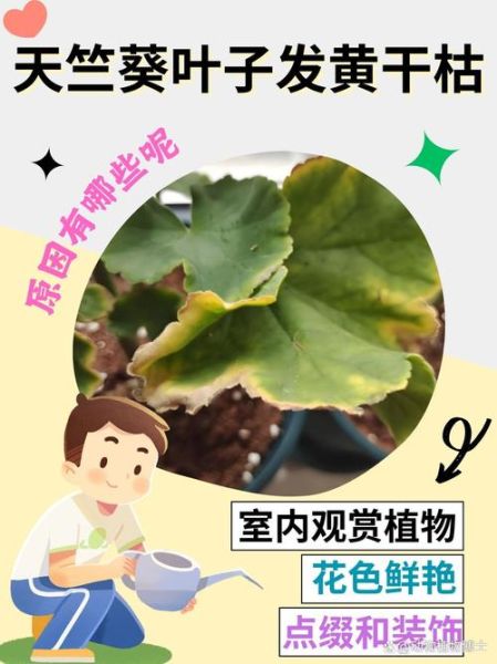枯萎的植物怎么救活_叶子发黄枯萎是什么原因