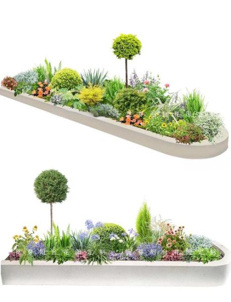 美丽的花坛怎么设计_花坛植物搭配技巧