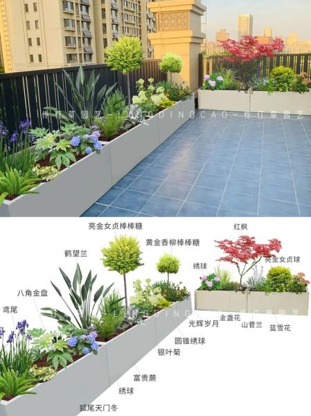 美丽的花坛怎么设计_花坛植物搭配技巧