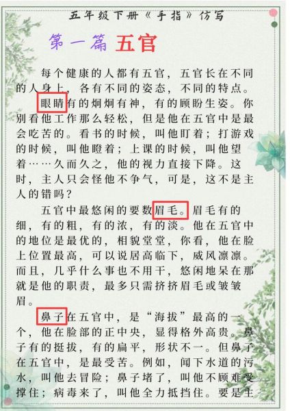 描写指头的词语有哪些_如何生动刻画手指细节