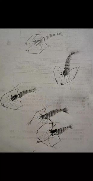 小虾怎么跳舞_小虾跳舞动作分解