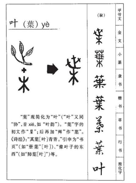 abab式词语有哪些_叶子怎么写