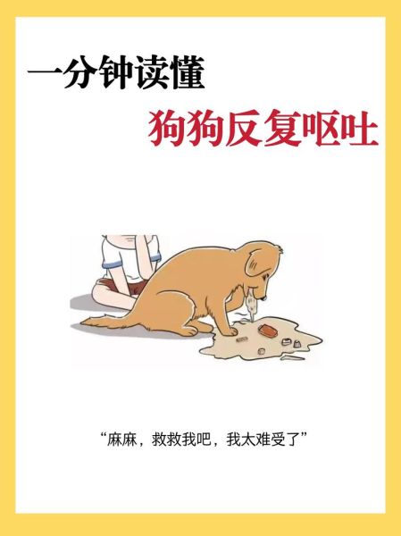 小狗吃食后呕吐怎么办_小狗吃食量标准是多少