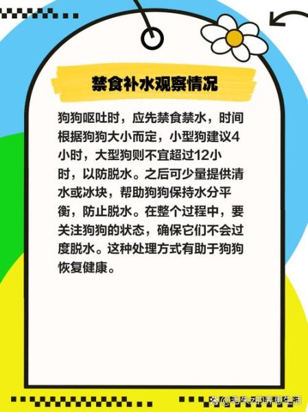 小狗吃食后呕吐怎么办_小狗吃食量标准是多少