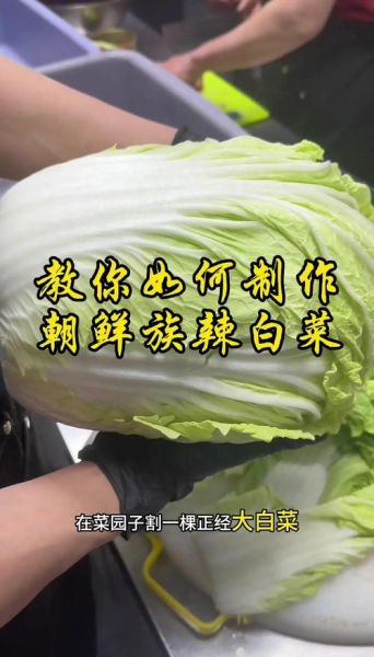 辣白菜怎么做_辣白菜腌制多久能吃