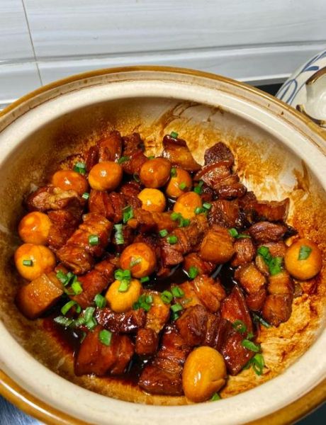 红烧肉怎么做好吃_家常炖肉的做法步骤