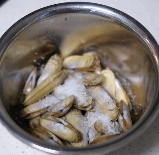 蛏子怎么清洗_蛏子炒多久才熟